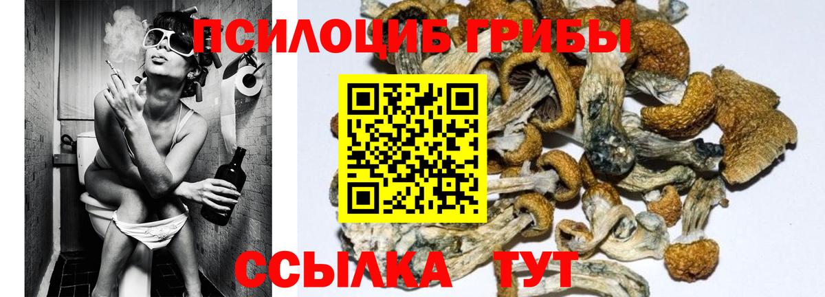 Галлюциногенные грибы мухоморы Павловский Посад